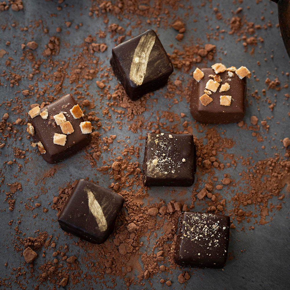 Rocky Mountain Chocolate Factory, premium cocoa