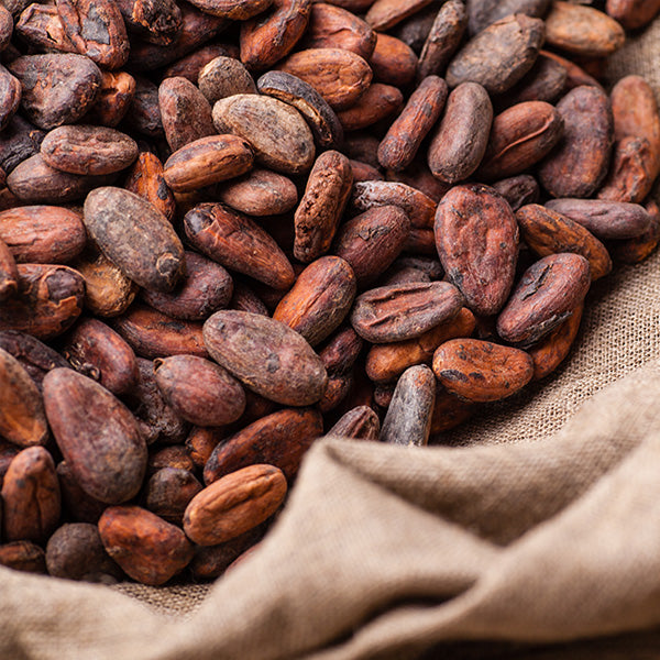 cocoa beans