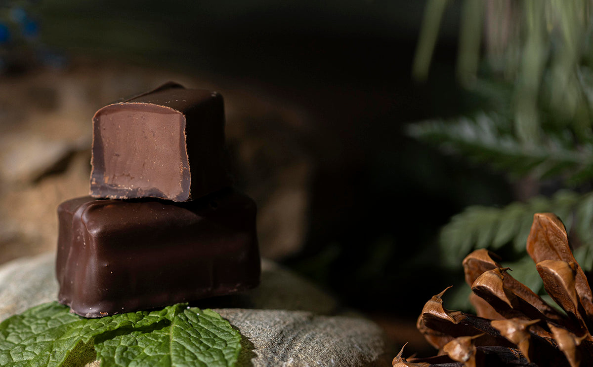 Mint Chocolate, Rocky Mountain Chocolate Factory